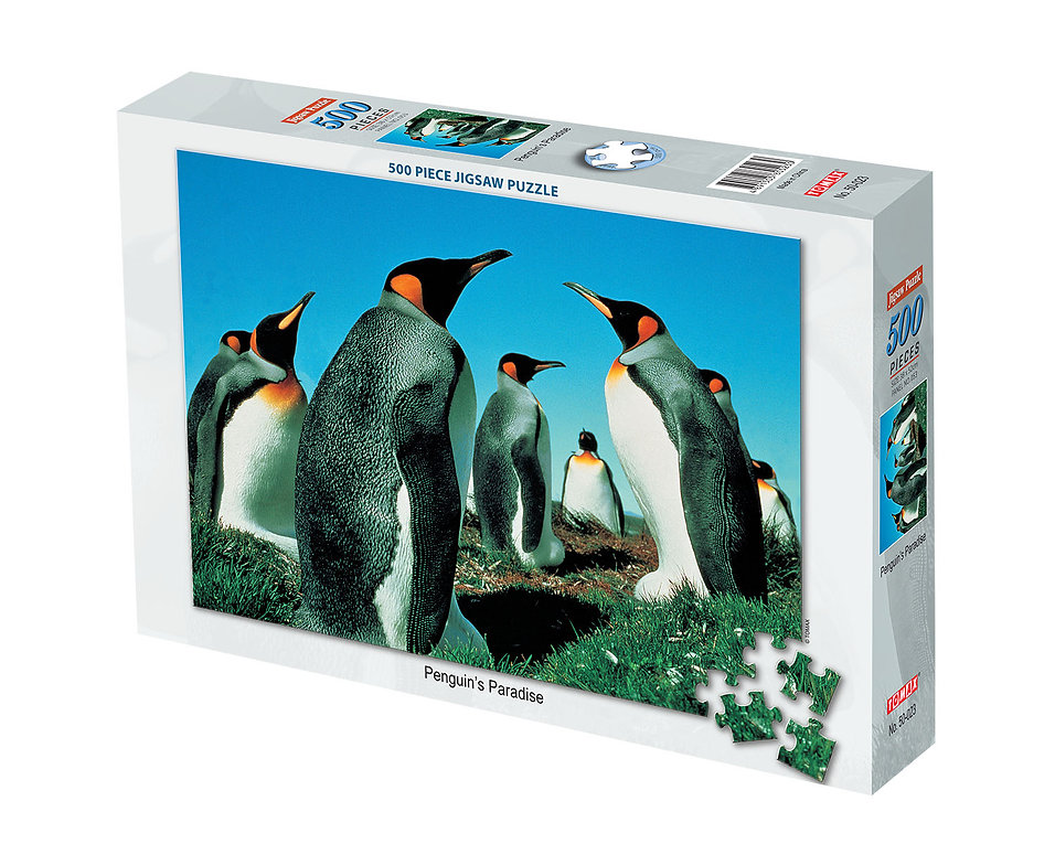 Penguin'S Paradise